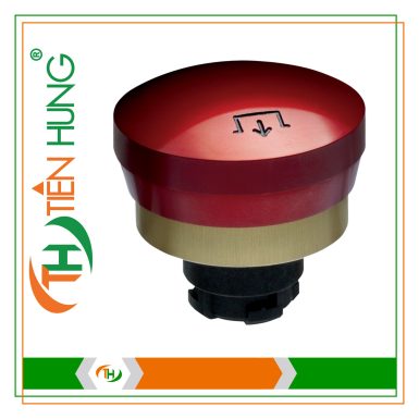 NÚT NHẤN SCHMERSAL EX-RDRZ45RT - 101193587