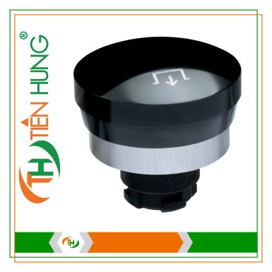 NÚT NHẤN SCHMERSAL EX-RDRZ45SW - 101195091