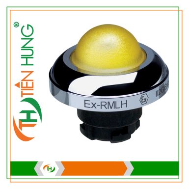 NÚT NHẤN SCHMERSAL EX-RMLHGB - 101197358